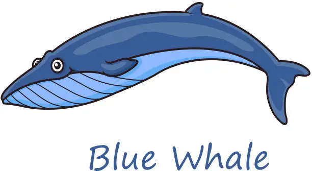 Vector illustration of Cartoon ocean blue whale