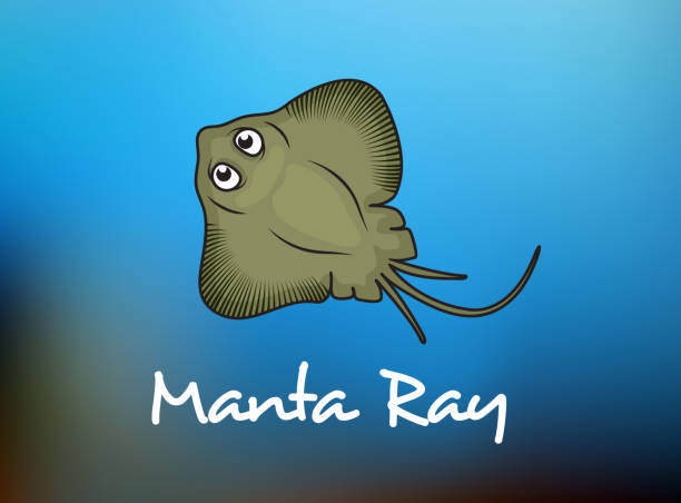 Funny Cartoon Stingray Or Manta Stock Illustration - Download