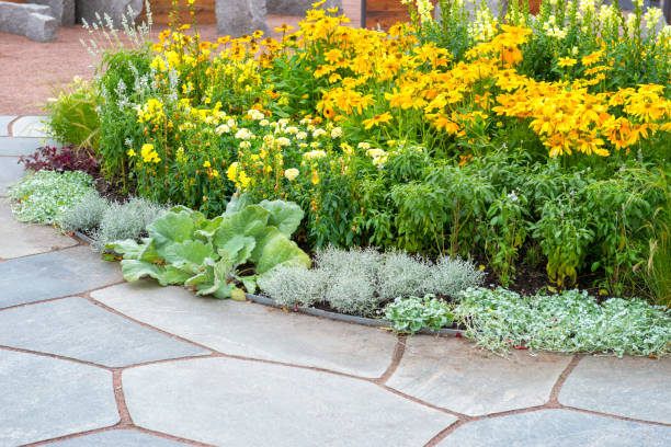 istock Flowerbed and paving stone slates 517252313