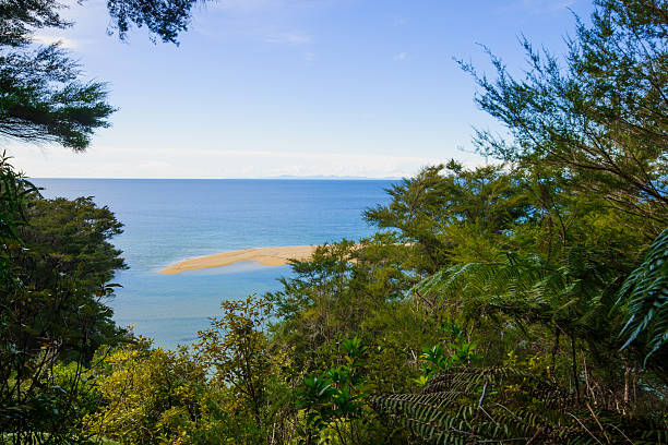 istock Abel Tasman National Park 517253267