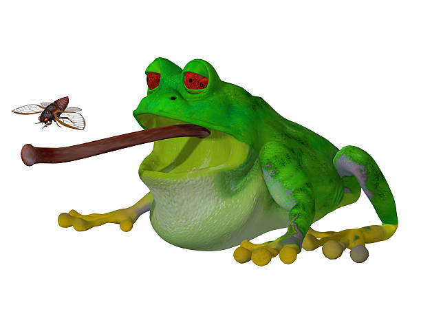 istock 3d cartoon frog catching a fly 517253941