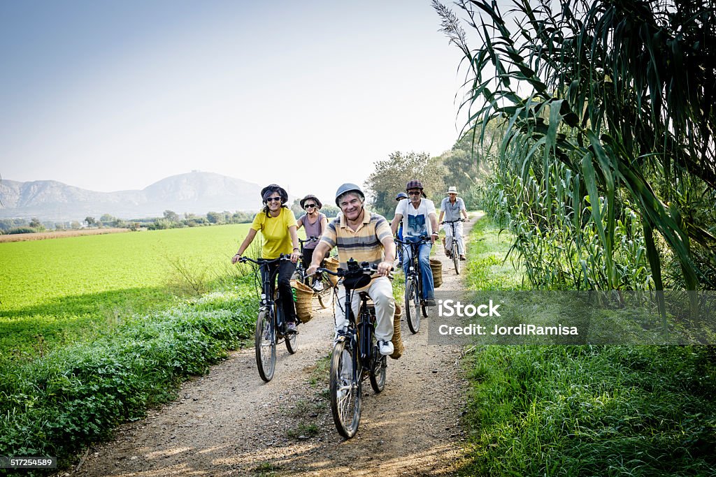 Electric bike ride Group of friends ride along the field in electrical bicycles Electricity Stock Photo