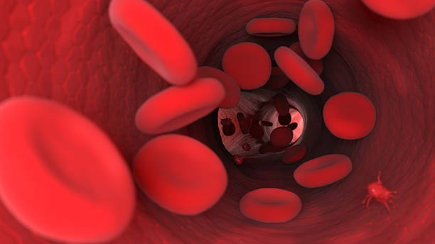 endothelium 、医療 3 d illustration -人間の血液細胞を取り除き、erythrocyte - human cardiovascular system 写真 ストックフォトと画像