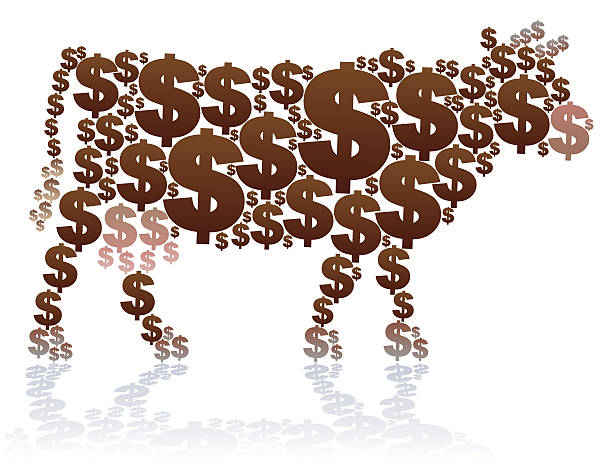 Dollar Cow Dollar signs, that shape a cow, as a symbol for meat industry business. Isolated vector illustration on white background. calf high stock illustrations