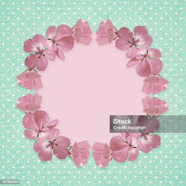 Pink Frame With Geranium Flowers Stock Photo - Download Image Now - Arrangement, At The Edge Of, Beauty In Nature