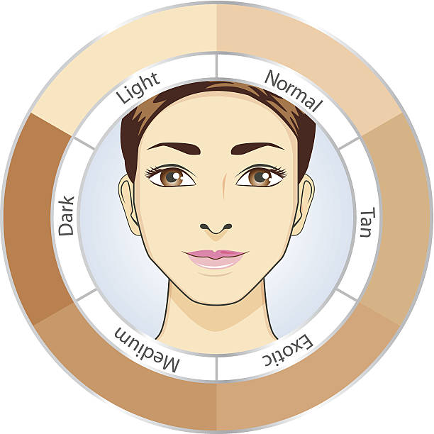 Circle Skin Color chart Women face in circle skin chart for check color skin level skin tone chart stock illustrations