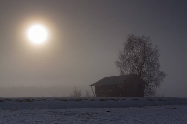fienile e betulla dai campi - winter finland agriculture barn foto e immagini stock