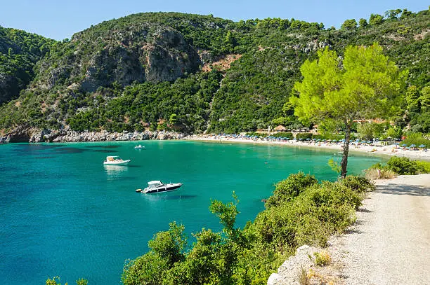 Limnonari beach on Greek island Skopelos in Aegean Sea, located on south side of island. 