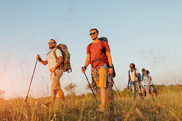 istock Best Friends In Hiking Adventure. 517273186