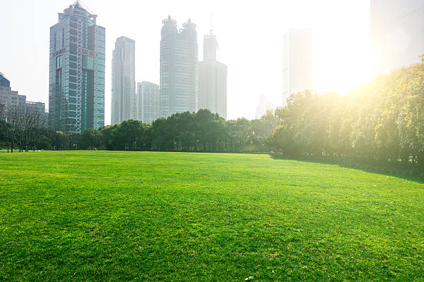 istock Green city park 517274232
