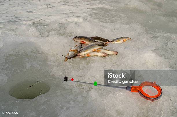 Spring Ice Fishing Stock Photo - Download Image Now - Adult, Cold Temperature, Fish