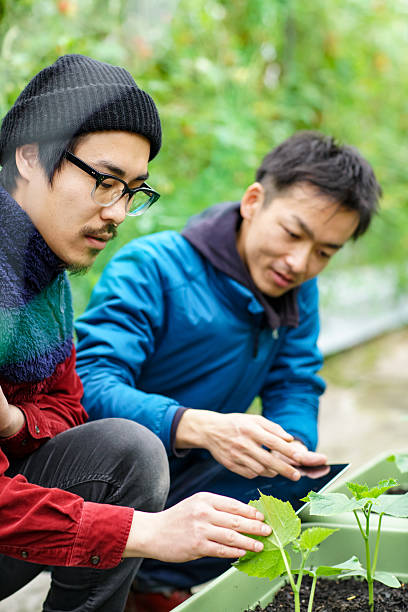 istock Two mid adult men using wireless technology in agriculture 517277390