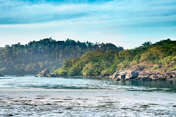 Beautiful Goa beach Beautiful Goa beach cocos stock pictures, royalty-free photos & images