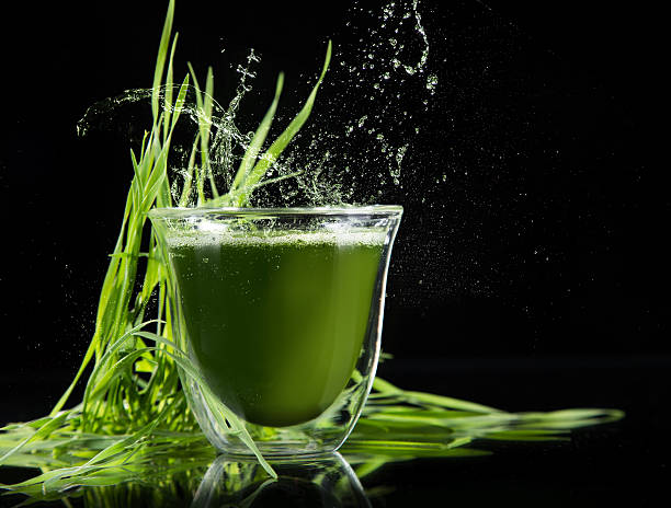 detox. молодой перловый, хлорелла суперфуды. - barley grass juice green стоковые фото и изображения