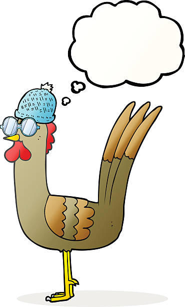 thought bubble cartoon chicken wearing disguise freehand drawn thought bubble cartoon chicken wearing spectacles and hat crazy chicken stock illustrations