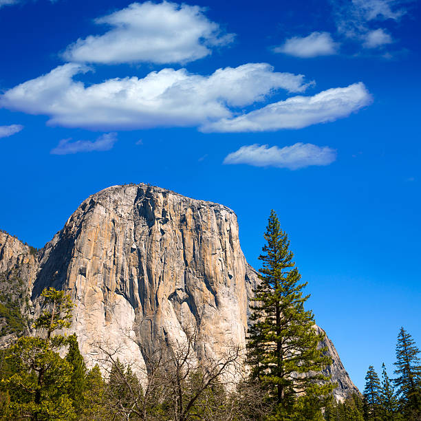 Yosemite National Park El Capitan California USA