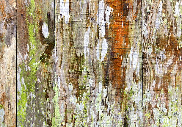 istock Old wooden wall – textured background. 517286787
