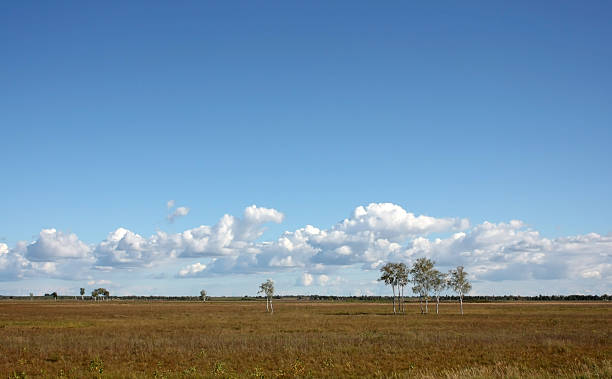 istock andscape with clouds and field up to the horizon. 517300242