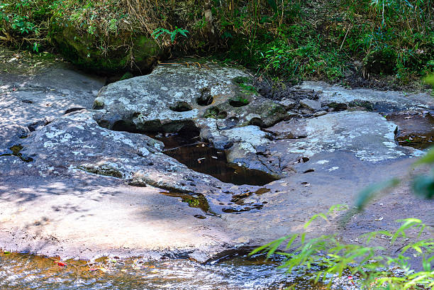 istock Stone hole like human foot in tropical forest. 517300564
