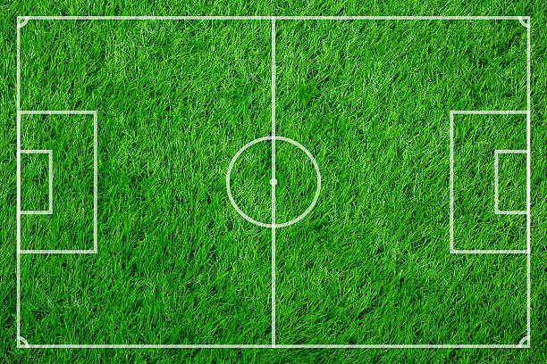 istock Textured grass football 517304442