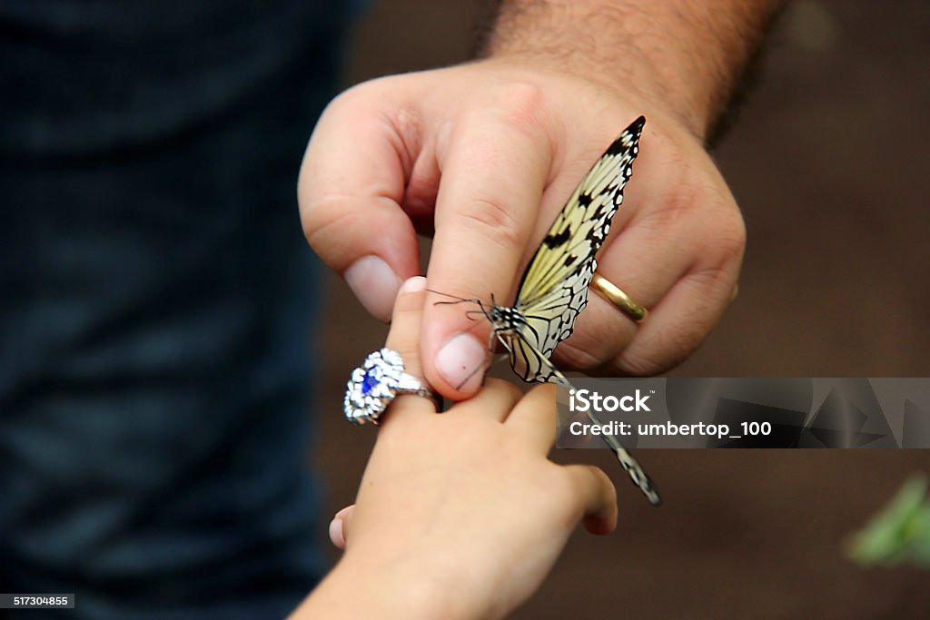 batterfly Batterfly that is lean on the fingers Adult Stock Photo