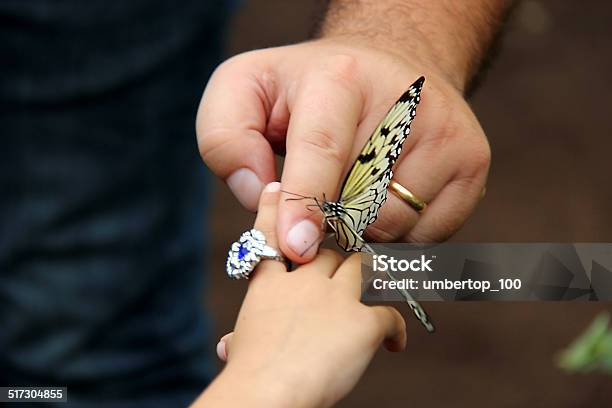 Batterfly Stock Photo - Download Image Now - Adult, Animal Body Part, Animal Finger