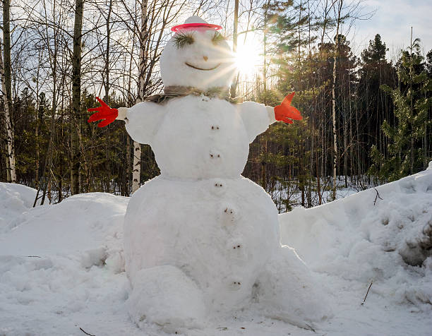 istock The snowman stands alone in the sunlight 517305400