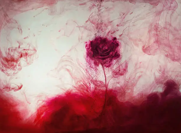 Photo of red ink rose out of ink