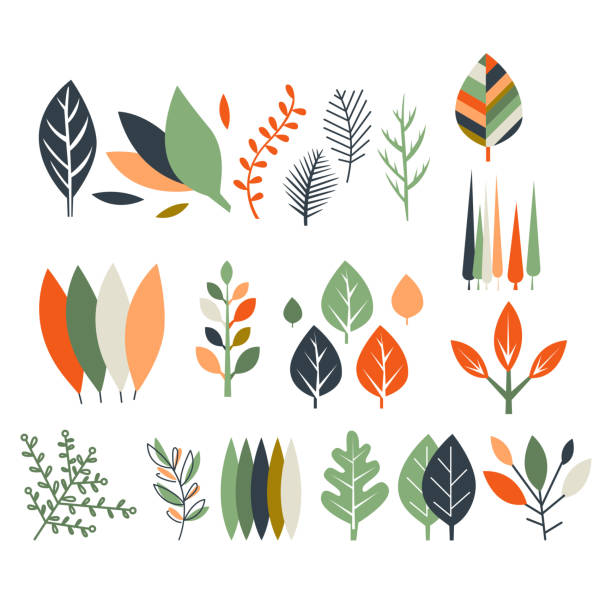 잎 컬레션 뮤지움 - computer graphic leaf posing plant stock illustrations
