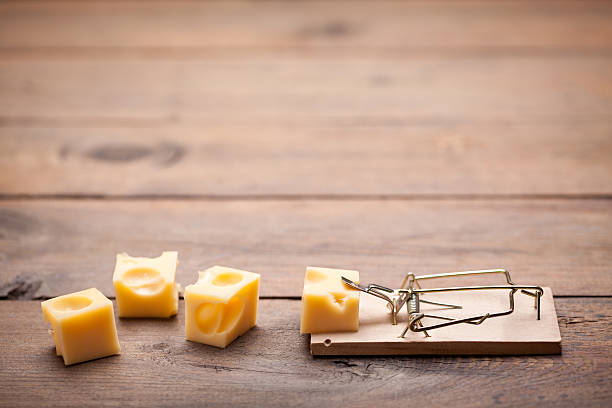 istock Close up of mouse trap on old wooden table 517305610