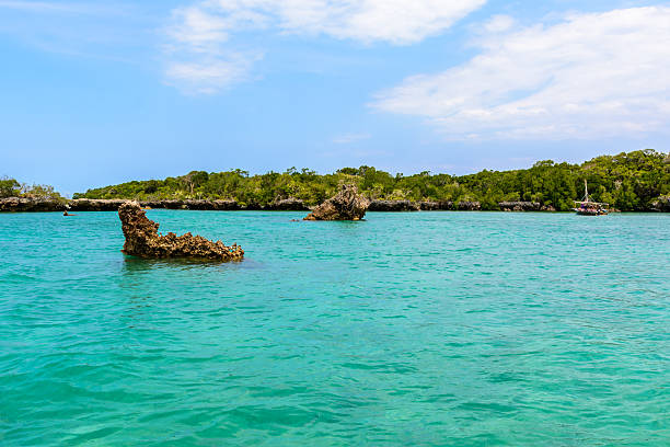 istock Mangroves Zanzibar 517306339