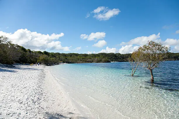 Photo of Lake McKenzie, Fraser Island, Queensland, Australia