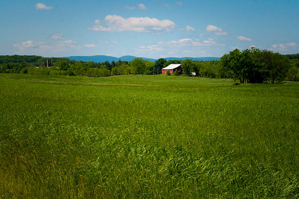 istock field of grass with a red barn 517306923