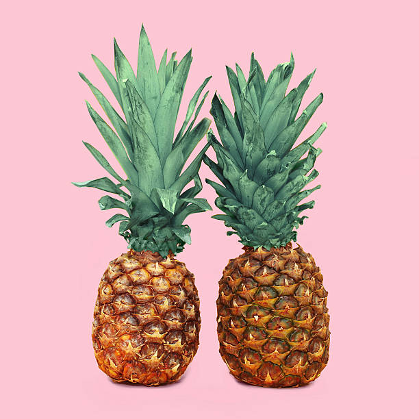 istock Two pineapple on colorful pink background, ananas photo 517307428