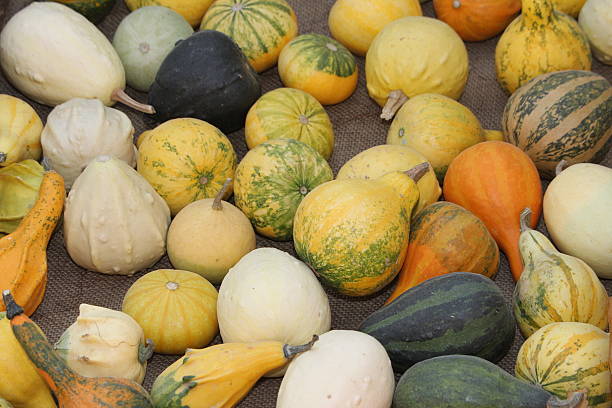 verde y naranja pumpkins a la venta en el mercado - texute fotografías e imágenes de stock