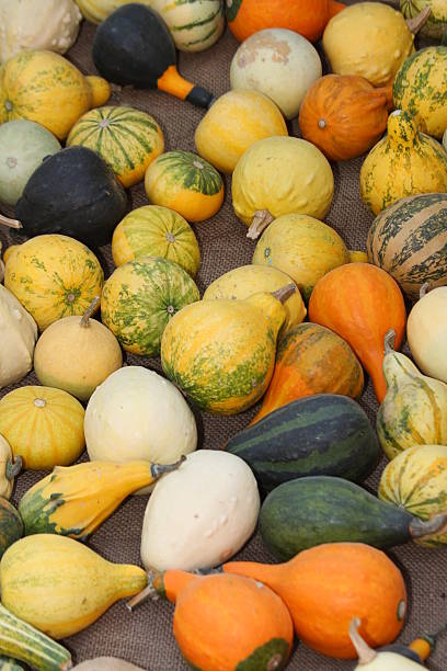 verde y naranja pumpkins a la venta en el mercado - texute fotografías e imágenes de stock