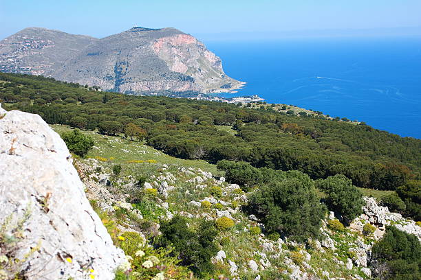 istock The island of Sicily, Palermo 517309797