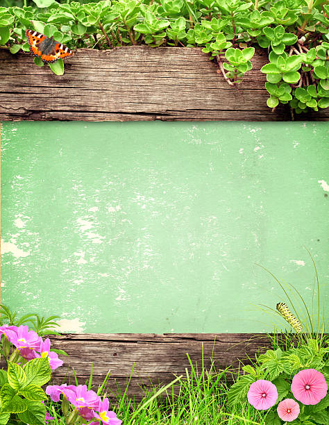 istock Summer background with paper texture, old wooden plank, grass an 517310804