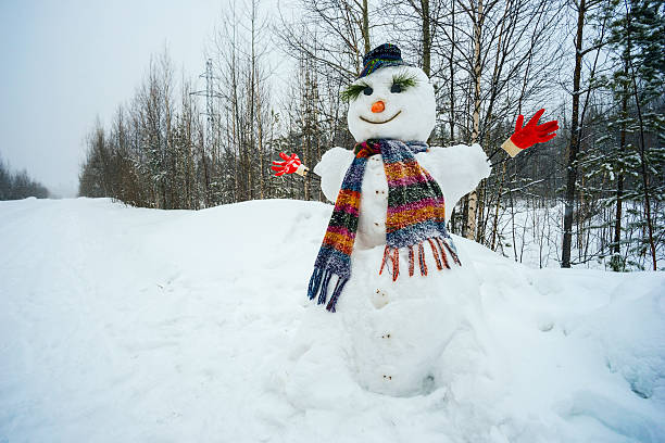 istock Funny snowman one on the edge of  forest 517311170