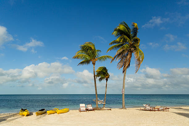 istock Yellow Kayaks on the Beach 517311487