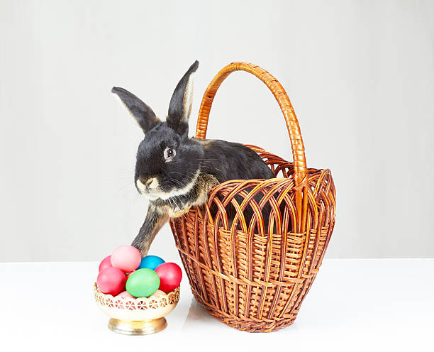 istock Rabbit sitting in a basket next to a vase 517312348