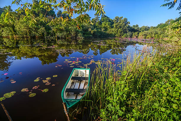 istock boat on tropical lake 517314676