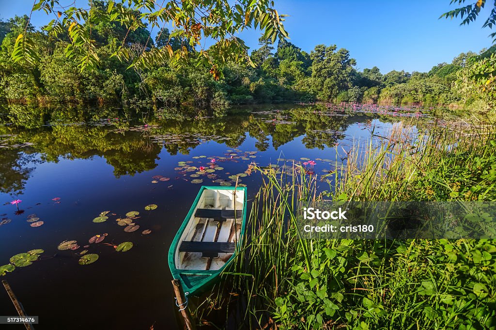 boat on tropical lake boat on lake with water lilies Asia Stock Photo
