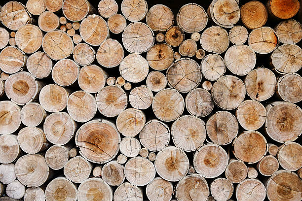 istock wood logs for industry 517321081