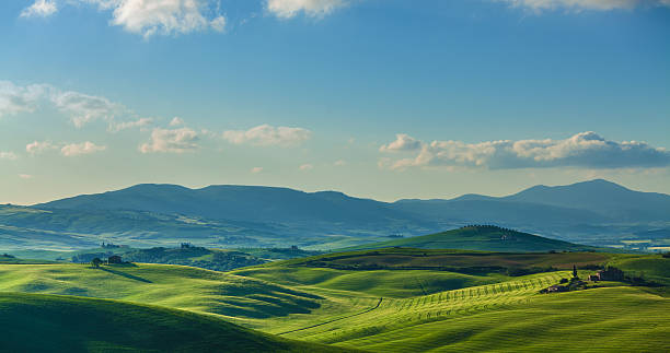 istock Landscape in Tuscany 517321343