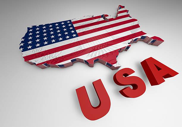 U.S.A. mapped flag in 3D illustration .