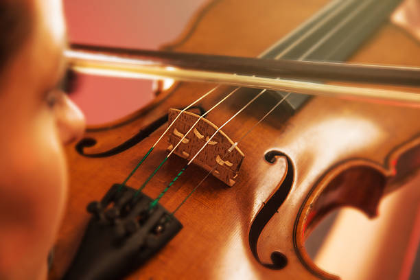 istock Young woman with violin 517323969