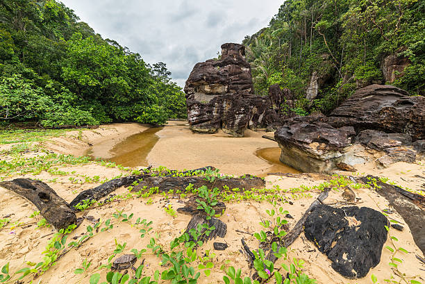 istock Bako National Park landscape 517326341