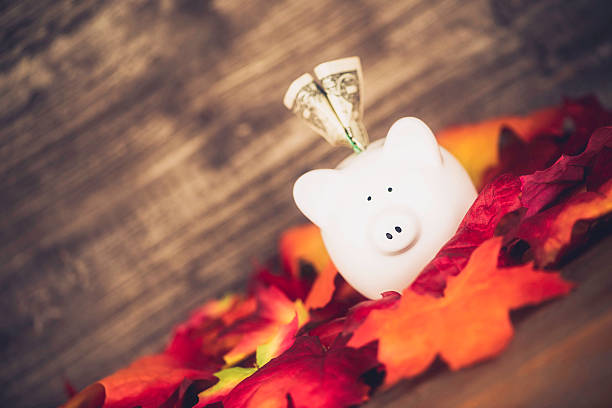istock Fall is a Great Time to Save Money 517326669