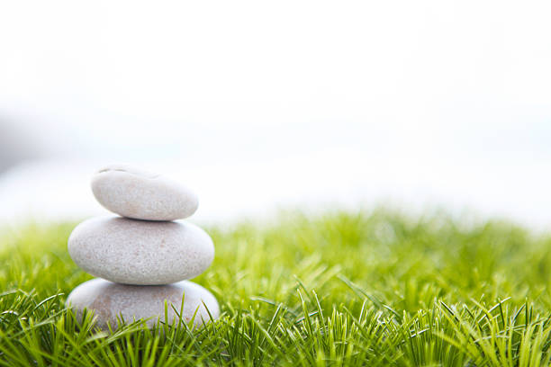 istock stones and grass isolated on white background. 517336286
